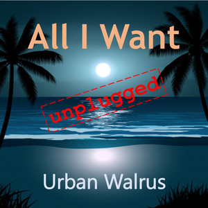 All I Want (Unplugged)