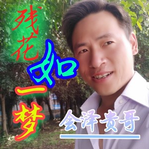 残花如一梦