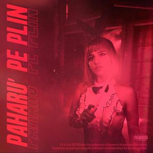 Paharu' pe plin (Explicit)