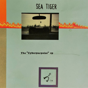 The Cyberporpoise EP
