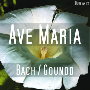 Ave Maria( Bach , Gounod )