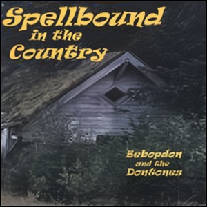 Many Lies Have Been Lied