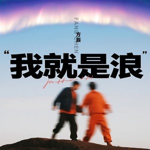 我就是浪