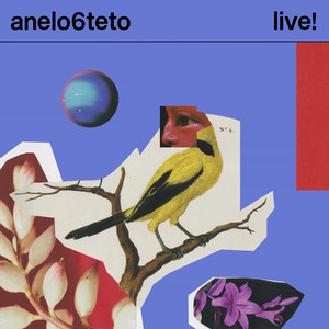 Anelo6teto Live