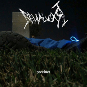 Precinct (Explicit)