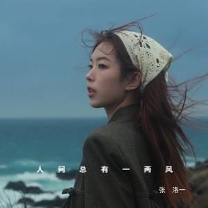 人间总有一两风 (DJ默涵版)