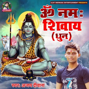 Om Namah Shivay Dhun