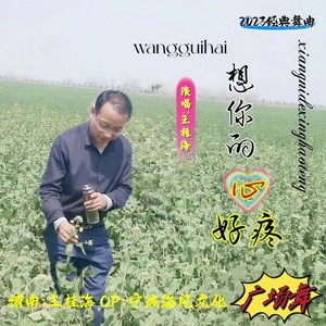 想你的心好疼-广场舞