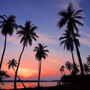 Vezz - Blunt (Explicit)