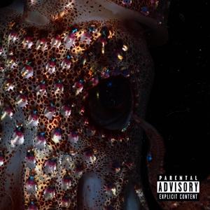 SHOOT & PREPARE (Explicit)