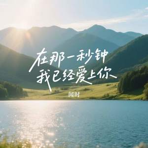 在那一秒钟我已经爱上你