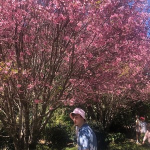 It Can't Be Helped(feat. pinkfuneral)