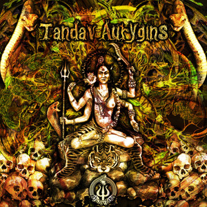 Rudra Tandav (Original Mix)