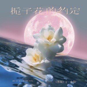 小灿 - 栀子花的约定 (DJ李想男版)