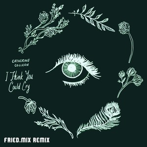 I Think You Could Cry (Fried.Mix Remix)