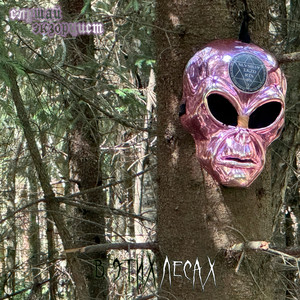 в этих лесах