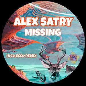 Missing (Ecco Remix)