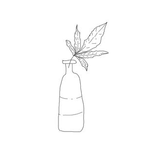 g v0mi dans mes chauss3ttes