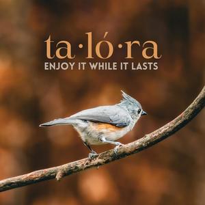 enjoy it while it lasts (feat. BARÇIN)