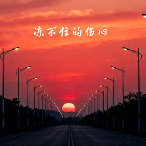 冻不住的伤心 (烟嗓男声版)