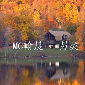 再握手中霸王枪