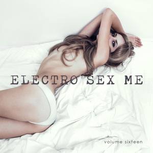 Electro *** Me, Vol. 16