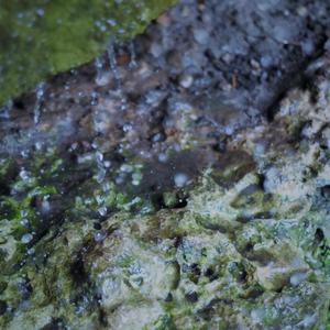 Sextape(feat. Kyiesha)