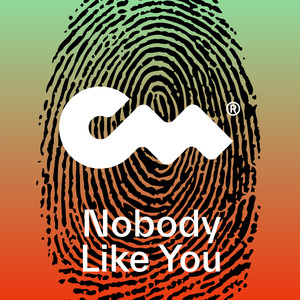 Nobody Like You