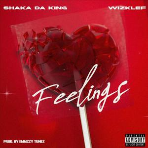 Feelings(feat. Shaka da king)
