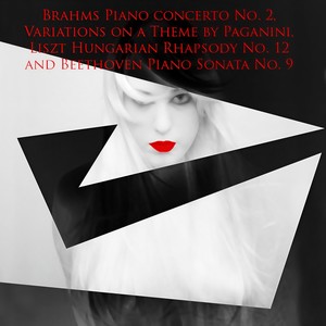 Piano Concerto No. 2 in B-Flat Major, Op. 83 - II. Allegro appassionato