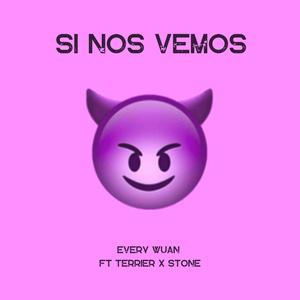 Si nos vemos (feat. Terrier & Stone) (Explicit)