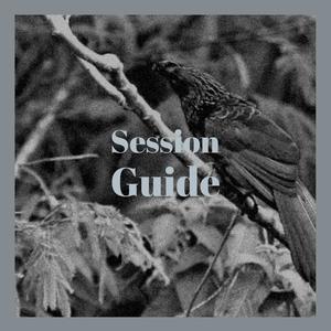 Session Guide