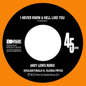 I Never Knew a Hell Like You (Andy Lewis Remix)