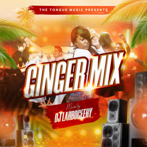 Ginger Mix