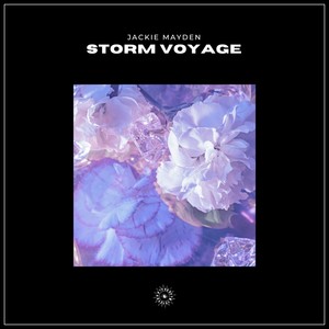 Storm Voyage