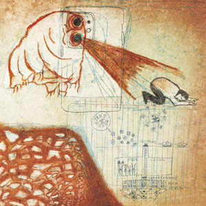 Sympathy for the Baby Boo