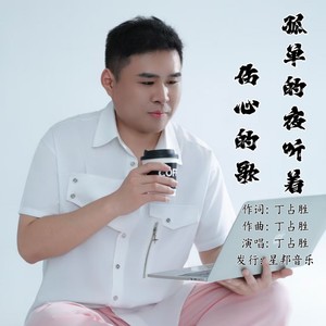 孤单的夜听着伤心的歌-DJ默涵版 (伴奏)