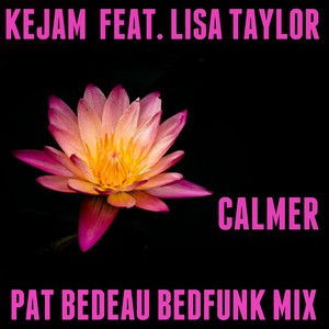 Calmer (Pat Bedeau Bedfunk DubMix)