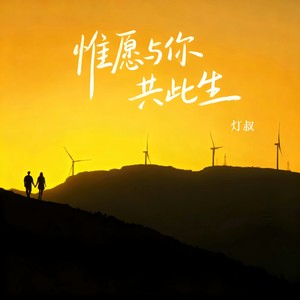 惟愿与你共此生封面