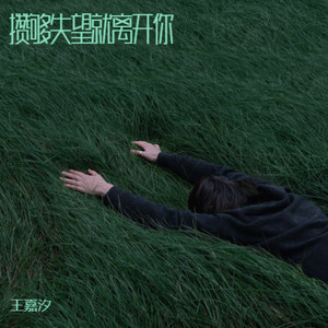 攒够失望就离开你 (坚决版)