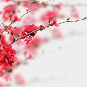 PAST(feat. G - HAZE)