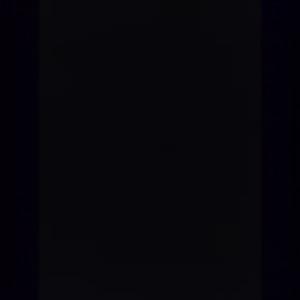 傻人 (DJ版)