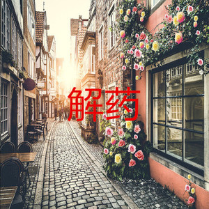 我爱你不问归期