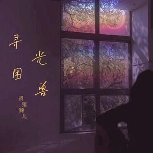 寻光困兽