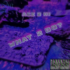 What To Do? (feat. Ace 2 Hi) [Explicit]