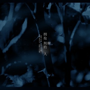 拥抱荆棘的人