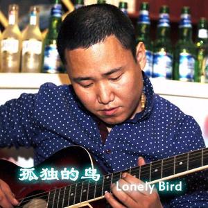 魏峰 - 孤独的鸟