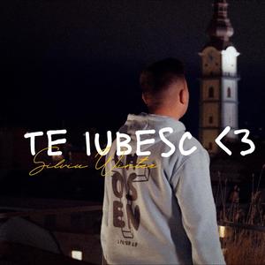 Te iubesc