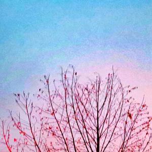 中川イサト-Lady Penelope (Teamriich remix)