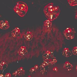 say No More (flowers2)